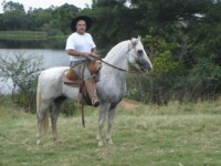 /album/galeria-de-fotos-pagina-inicial/bt-ouro-do-junco-jpg/